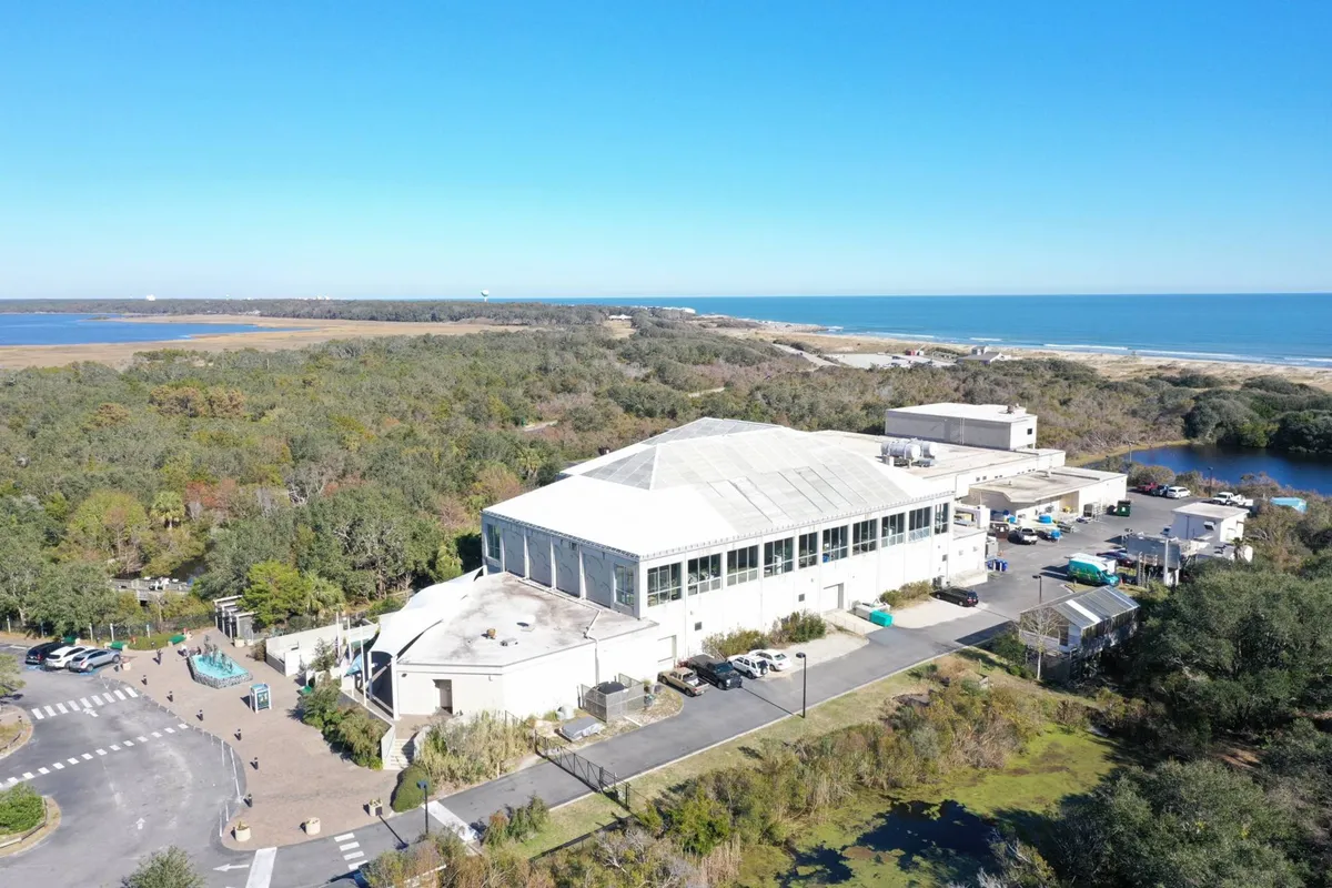 A large building stands near a parking area, surrounded by lush greenery and boasting a view of the ocean. The setting feels both welcoming and adventurous, hinting at educational and wildlife experiences nearby.